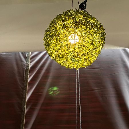 Rukmani Villas Group Of Rukmani Home Stay マトゥラー エクステリア 写真